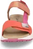 Gabor Sandalen Plat  Sandalen Plat - Oranje - Maat 39 Voir les images du produit 19
