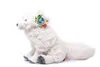 Wild Republic - Kuscheltier - Cuddlekins - Polar Fuchs Produktbild-Vorschau 3