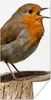 MuchoWow® Poster Rotkehlchen - Vogel - Holz 20x40 cm - Produktbild-Vorschau 1