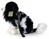 Peluche King Charles Spaniel Con Guinzaglio 27 Cm Eco-f. Anteprima dell’immagine prodotto 2