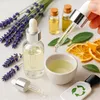 gouveo 6er Set Pipettenflaschen 50 ml aus Klarglas - Leere Produktbild-Vorschau 4