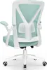 Chaise de bureau Aiibot,Chaise de bureau ergonomique avec Voir les images du produit 1