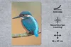 MuchoWow® Mauspad Mousepad Vogel - Eisvogel - Tiere - Zweig Produktbild-Vorschau 2