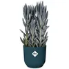 Pot Elho Vibes Fold Bleu D.22cm Design Plissé, Durable - Voir les images du produit 3
