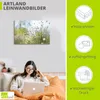 ARTland Leinwandbild Wollgras weiße Schneebälle im Moor Produktbild-Vorschau 3