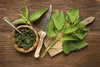SAFLAX -- Žihľava - Urtica dioica - 2000 Semená Náhľad obrázku produktu 4