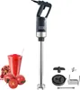 Elektryczny blender ręczny 500 W, wysokowydajny blender Podgląd zdjęcia produktu 1