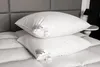 HS9 Kopfkissen 80x80 cm 1100 Gramm Daunenkissen Kissen 70% Produktbild-Vorschau 4