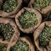 A close-up view of several burlap sacks filled with olives and olive leaves. Produktbild-Vorschau
