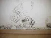 Mold growth on a white wall near the floor. Produktbild-Vorschau