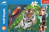 TREFL Puzzle Animal Planet: Erstaunliche Tiere 300 Teile Produktbild-Vorschau 2