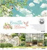 P13 Set 12 Blatt 30,5x30,5cm doppelseitig Scrapbooking Voir les images du produit 1