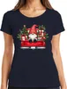 Weihnachtszwerg Truck Wichtel Gnom - Weihnachten Xmas Produktbild-Vorschau 1