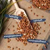 10 kg Lyra Pet® Erdnusskerne mit Haut Produktbild-Vorschau 2