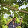 Gardena EasyCut 680 B Troncarami Gardena 12003-20 Anteprima dell’immagine prodotto 13