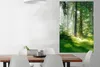 MuchoWow® Poster Natur - Bäume - Wald - Grün - Sonne - Gras Produktbild-Vorschau 2