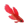 Silikon Künstliche Fische Hohe Simulation Lebensechte Produktbild-Vorschau 2