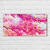 Coloray Bild aus Acryl 100 cm x 50 cm - Gehärtetes Acryl Produktbild-Vorschau 2