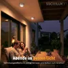 SSC-LUXon 4er Set CELI-WX Aufbauspot dimmbar flach für Produktbild-Vorschau 7