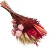 Dehner Blumenstrauß aus Trockenblumen, Blumen-Bouquet Produktbild-Vorschau 1