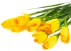 Krokus Künstliche Krokusse Strauss 10 Krokusse Im Gras Produktbild-Vorschau 6