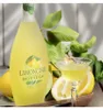 Bottega LIMONCINO Liquore di limoncello 30% vol. 0,5l Anteprima dell’immagine prodotto 3