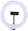 Grundig LED Ringlicht mit Stativ - Ringlicht Handy mit Produktbild-Vorschau 6