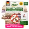 Schlupfwespen gegen Kleidermotten, 12 Karten x 1 Lieferung, Produktbild-Vorschau 1