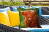MuchoWow® Outdoor Kissen - Schottisches Hochlandrind - Kuh Produktbild-Vorschau 4