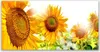 Tulup Leinwand-Bilder 120x60 Wandbild Canvas Kunstdruck Produktbild-Vorschau 1