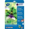 Avery Zweckform Photo Paper Premium 2559-20 DIN A4 250g ws Anteprima dell’immagine prodotto 15