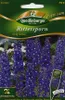 Rittersporn, King Arthur Produktbild-Vorschau 5