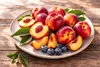 Zwergnektarine Prunus persica nucipersica Stämmchen 100–120 Produktbild-Vorschau 2