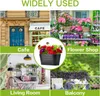 Collage of four scenes showing the product in different settings: a cafe, a flower shop, a living room, and a balcony. Produktbild-Vorschau