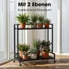 Étagère à plantes sur roulettes Mica Decorations Greenrax - Voir les images du produit 7