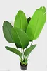 DIXIE STORE Strelitzia - Plante artificielle, fleurs Voir les images du produit 2