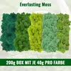 Islandmoos - konserviertes Moos zum Basteln, Moos in 5 Produktbild-Vorschau 2