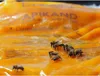LYSON Apikand mit Pollen Bienenfutter 1kg Teig Bienen Produktbild-Vorschau 5