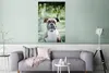 MuchoWow® Poster Ein Boxer mit schönen Sonnenstrahlen Produktbild-Vorschau 5