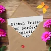 Mr. & Mrs. Panda Grußkarte Spruch Bichon Frisé Freude - Produktbild-Vorschau 3