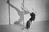 Rura Do Tańca Pole Dance Składana Obrotowo-Statyczna Zestaw Podgląd zdjęcia produktu 7