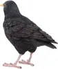 Oiseau décoratif d'extérieur en polyrésine Merle Voir les images du produit 11