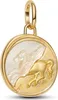 PANDORA Talisman Pegasus Anhänger, 925er Silber, IP Gold Produktbild-Vorschau 1