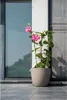 Blumentopf Garten ID Taupé 38 x 34 cm Produktbild-Vorschau 2