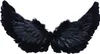 A pair of black feather wings against a white background. Produktbild-Vorschau
