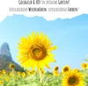 Farbenfrohe Sonnenblumen Samen mit hoher Keimrate - Produktbild-Vorschau 3