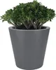 elho pure straight round 50 Übertopf - anthrazit Produktbild-Vorschau 10