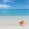 A tropical beach scene with the word 'paradise' written in the sand and a flower. Produktbild-Vorschau