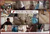 Tuaroc Berberteppich Marrakesch mit ca. 45.000 Florfäden/m² Produktbild-Vorschau 5