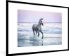 MuchoWow® Gerahmtes Poster Pferd - Pilz - Strand 90x60 cm - Produktbild-Vorschau 1